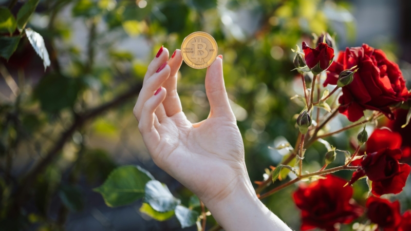 “Bitcoin Could Soar to K Before the Next Halving Event Ignites the Market”