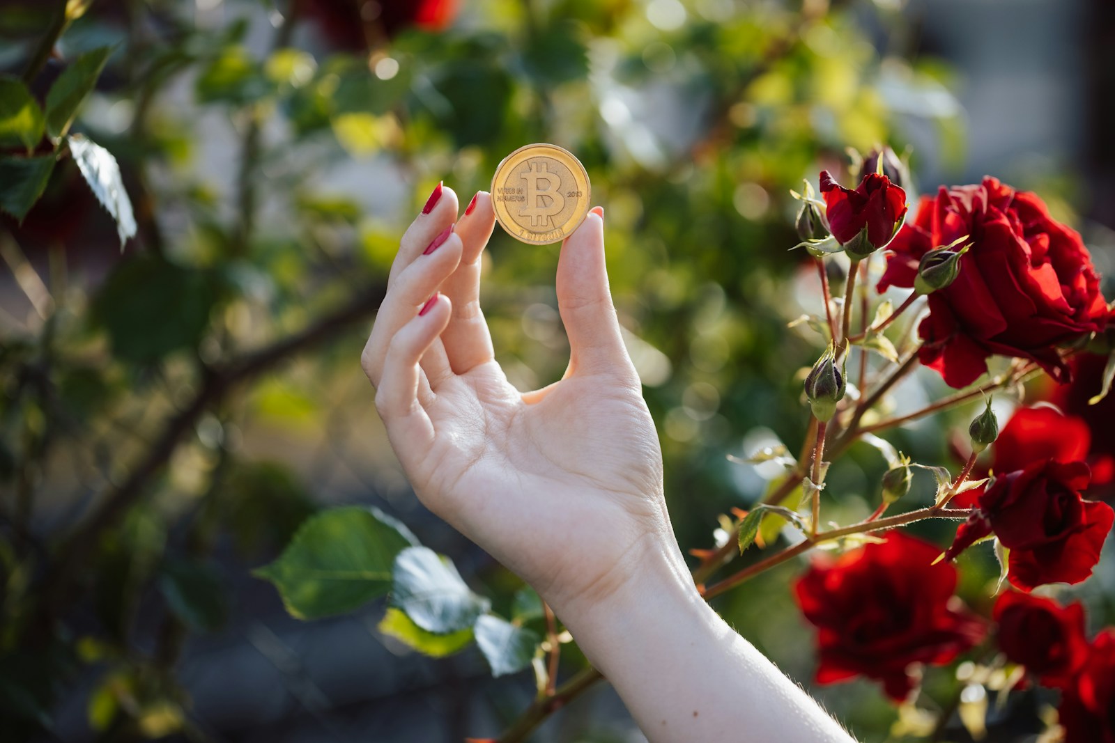 “Bitcoin Could Soar to K Before the Next Halving Event Ignites the Market”